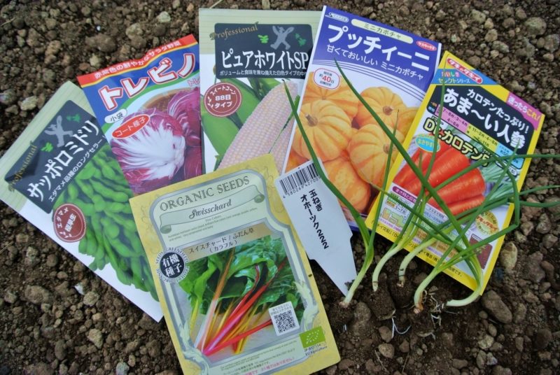 野菜 種まき・苗植え ちょこっと体験